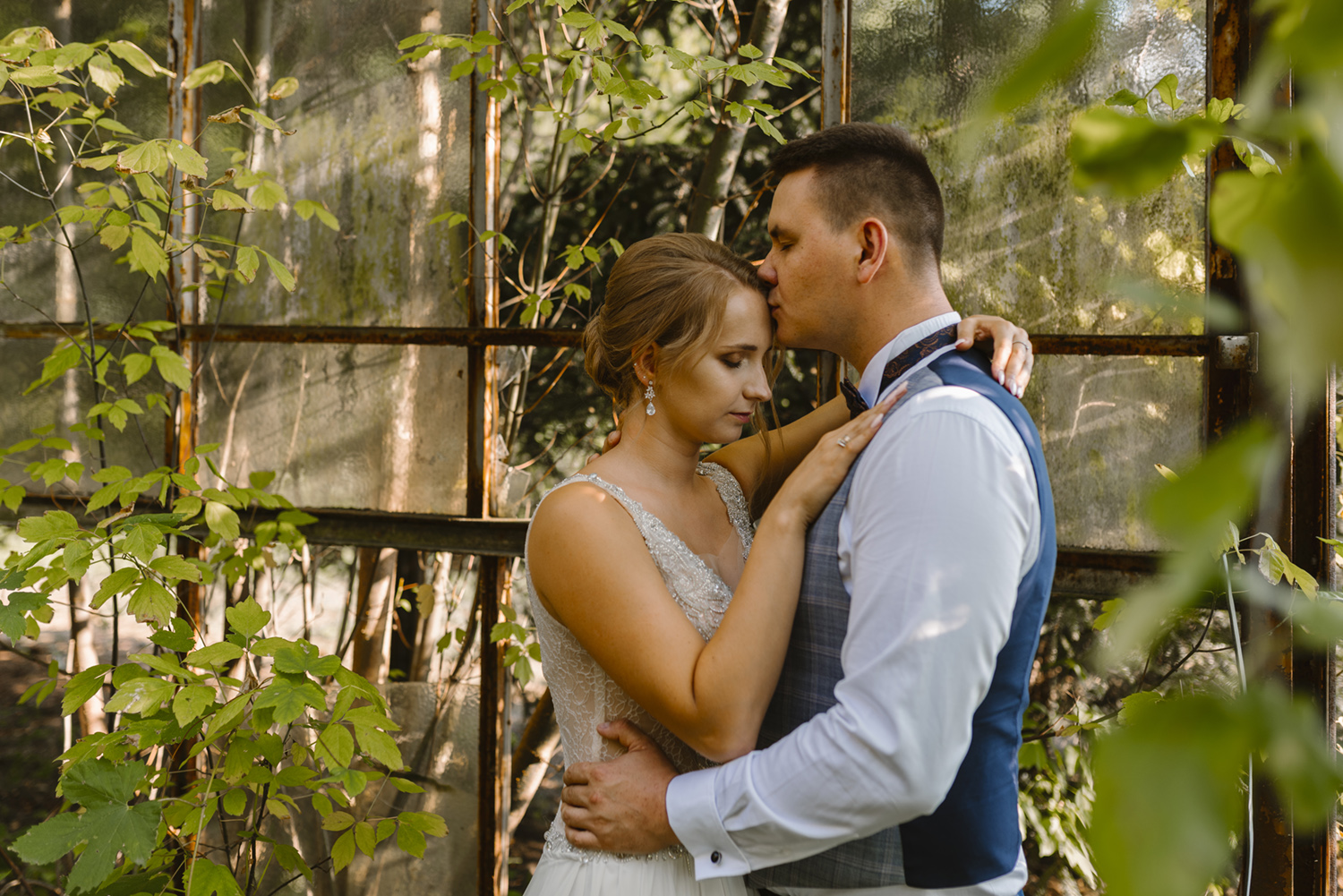 zdjęcia w szklarni w lesie