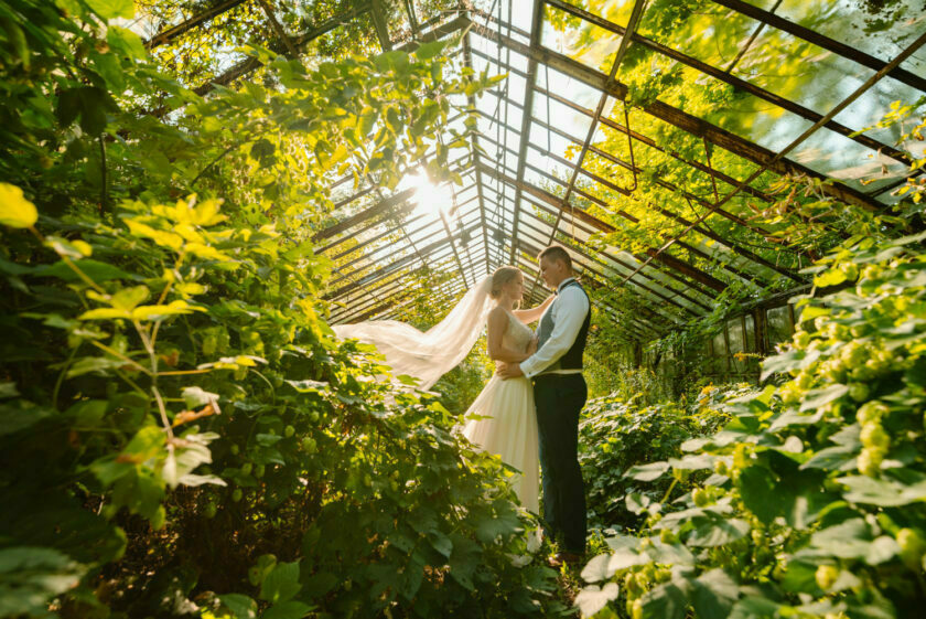 zdjęcia ślubne - szklarnia w lesie