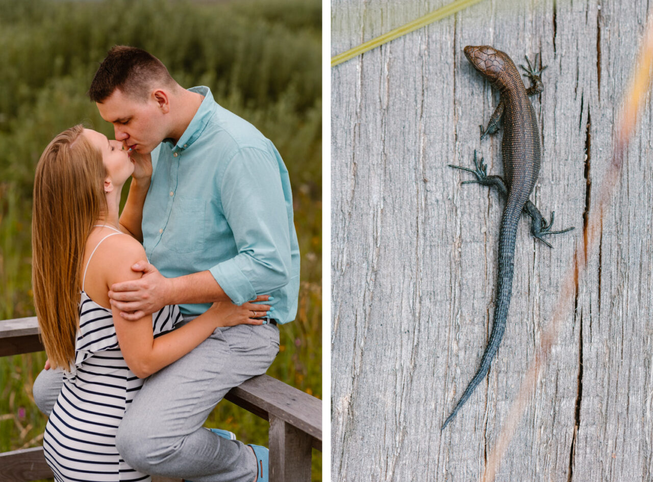 całująca się para narzeczonych i jaszczurka