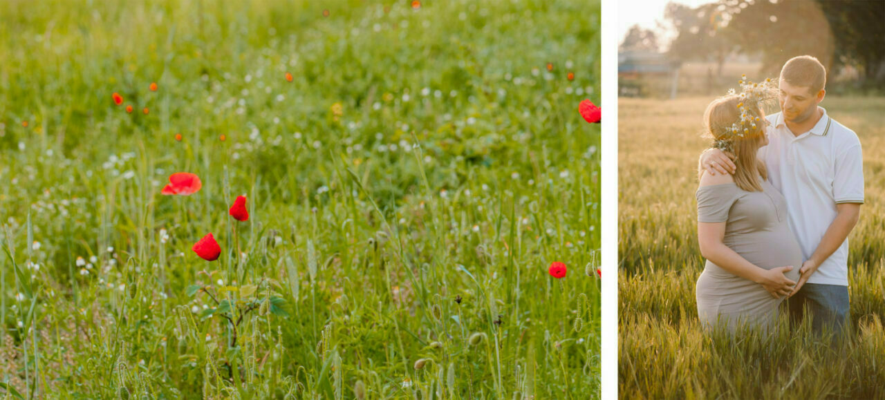 sesja ciążowa w okolicy Lublina - maki i rodzice