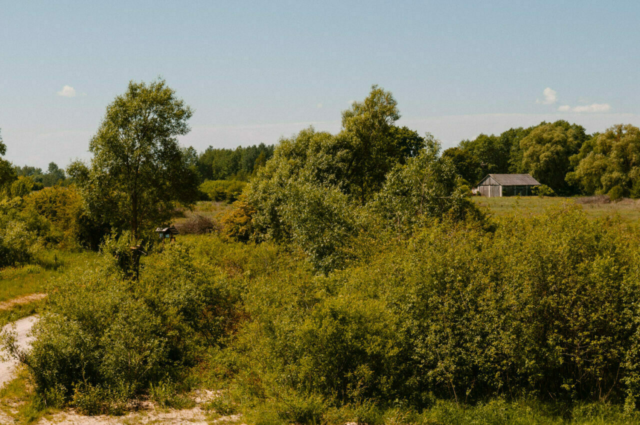 leśny krajobraz poleskiego parku narodowego