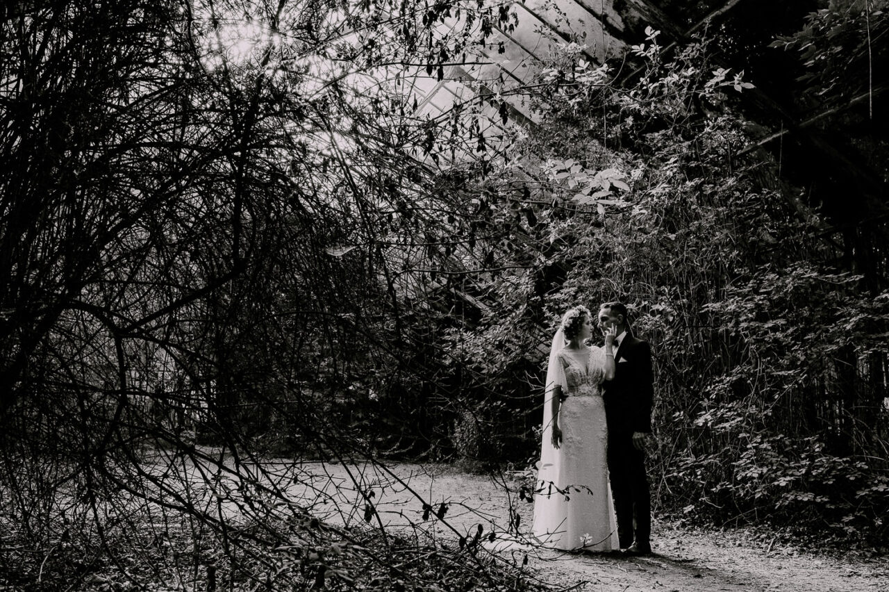 plenerowa sesja w szklarni