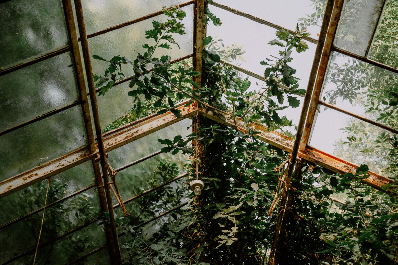 sklepienie szklarni