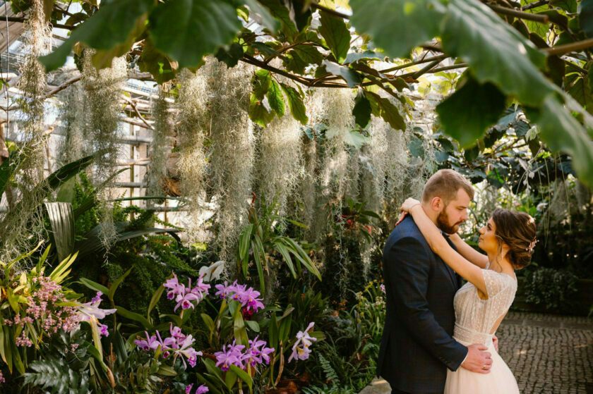 sesja ślubna w storczykarni